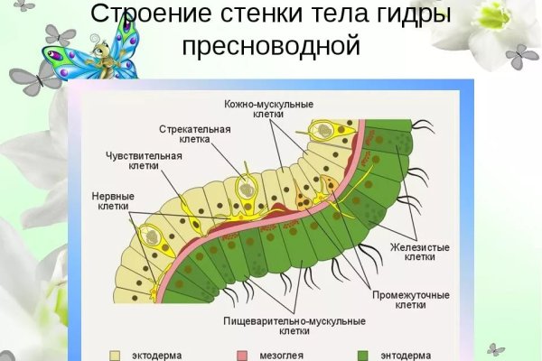 Кракен ссылки тор рабочая