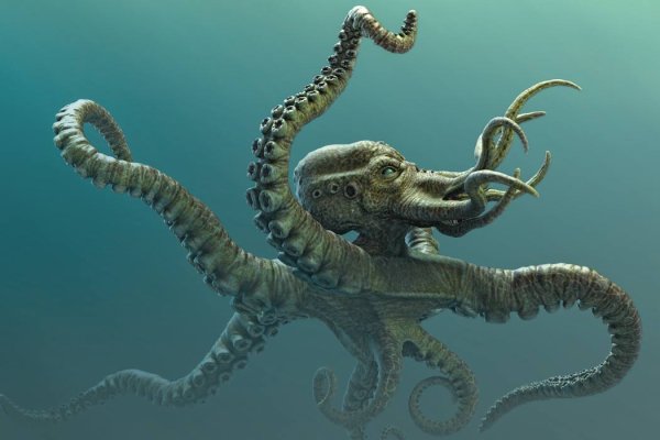 Кракен актуальная ссылка kraken torion net